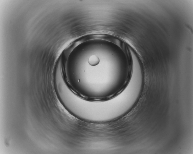 X0000101171468200807071210