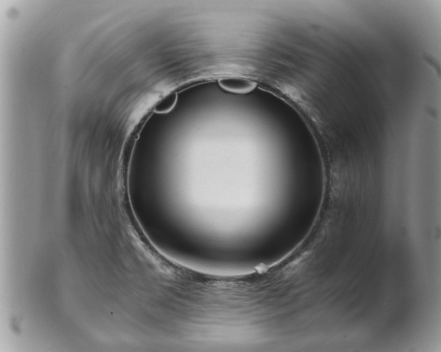 X0000101171469200807071210