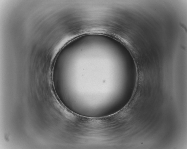 X0000101171470200807071210