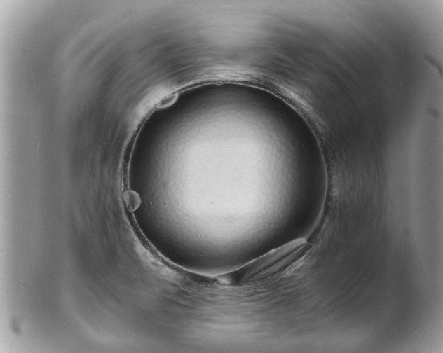 X0000101171471200807071210