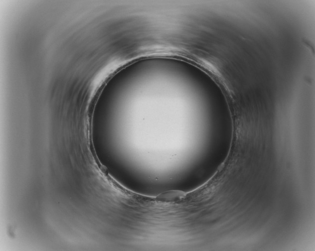 X0000101171472200807071210