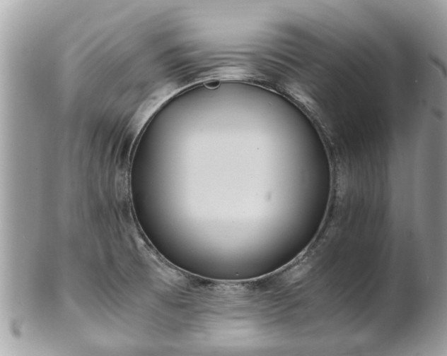 X0000101171473200807071210