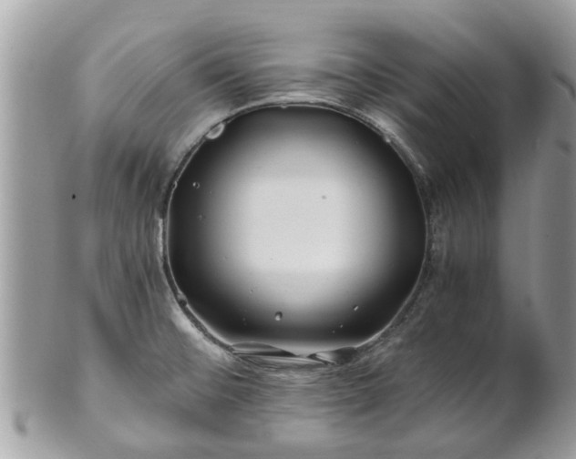 X0000101171476200807071210
