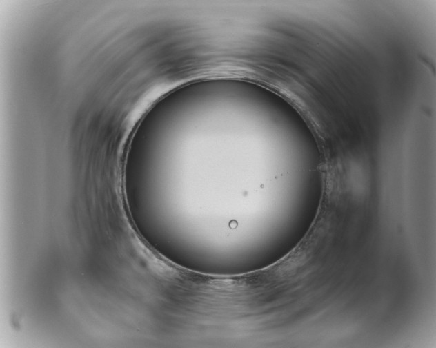 X0000101171478200807071210