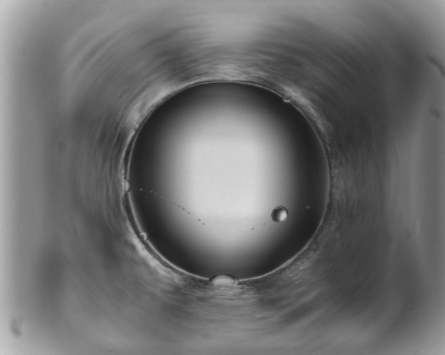 X0000101171479200807071210