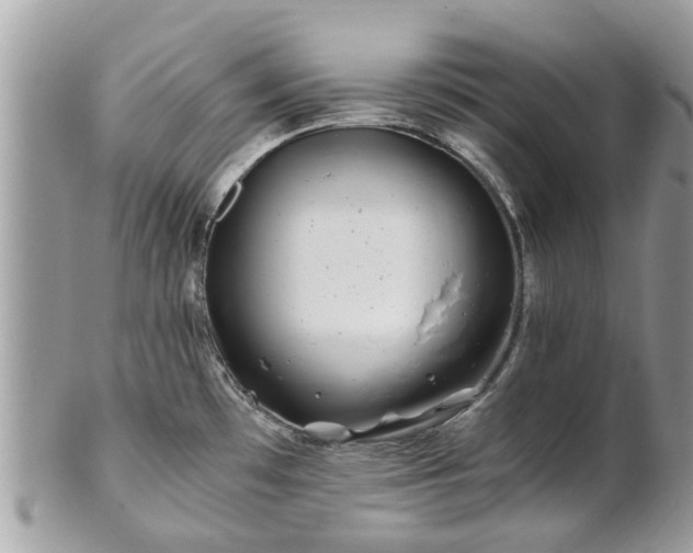 X0000101171481200807071210