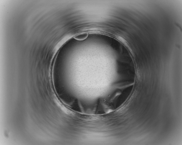 X0000101171482200807071210