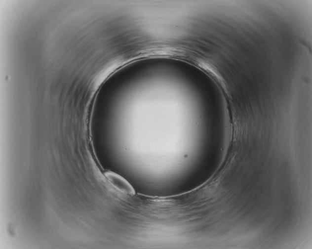 X0000101171483200807071210