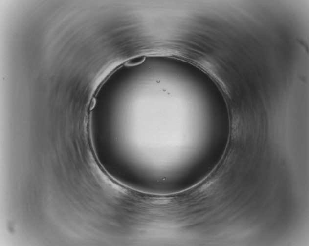 X0000101171484200807071210