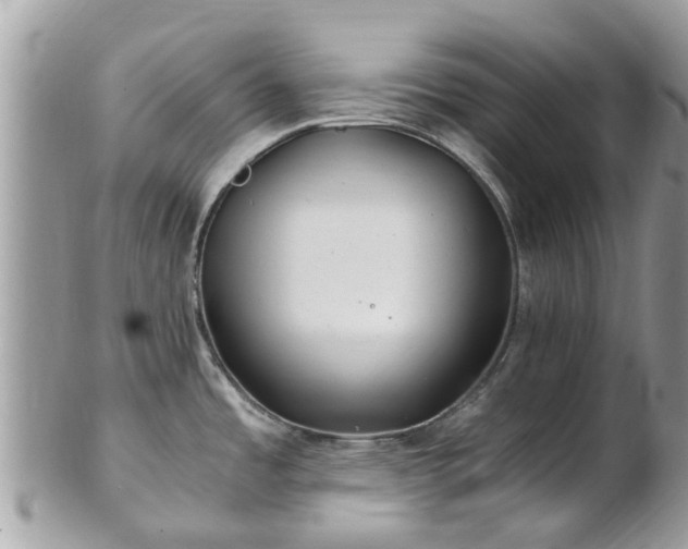 X0000101171485200807071210