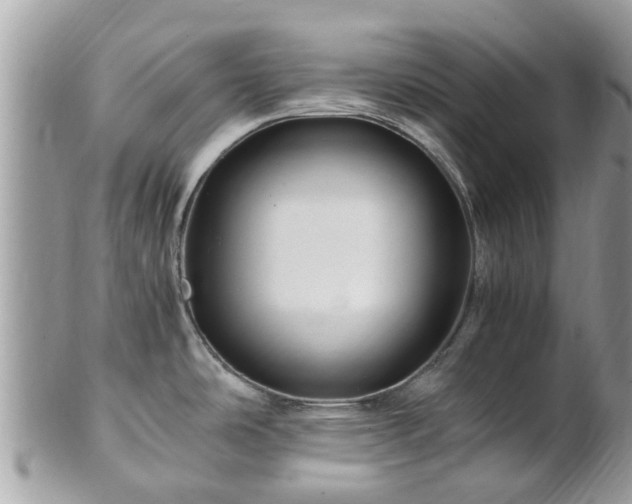 X0000101171486200807071210