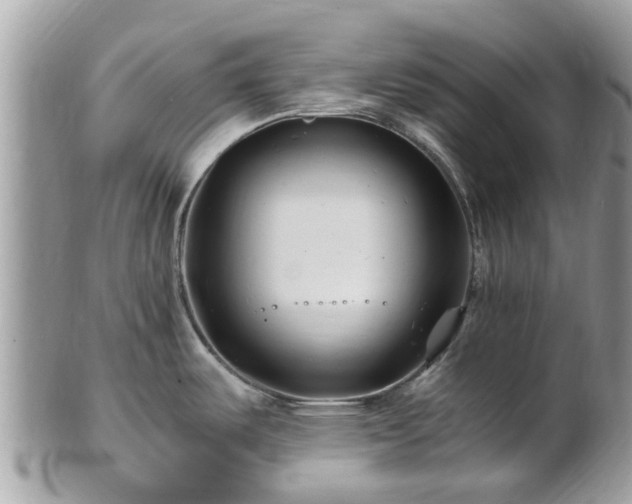 X0000101171487200807071210