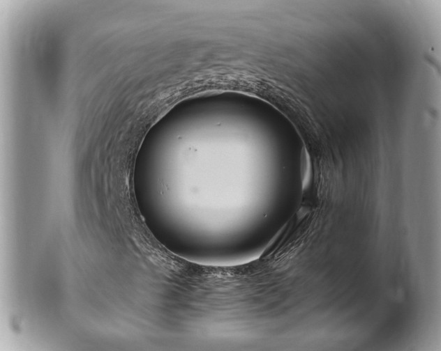 X0000101171489200807071209