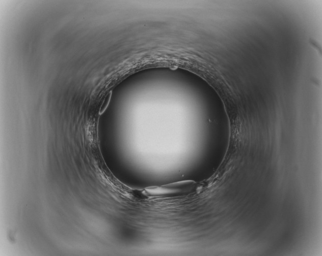X0000101171490200807071209