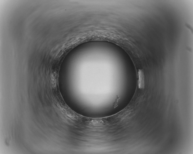 X0000101171491200807071209