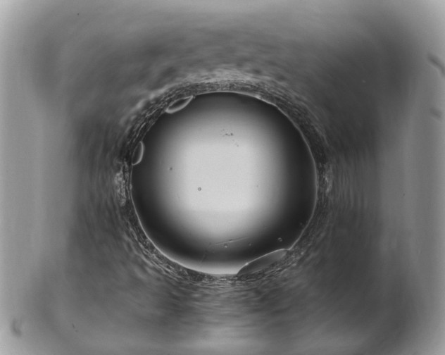 X0000101171493200807071209