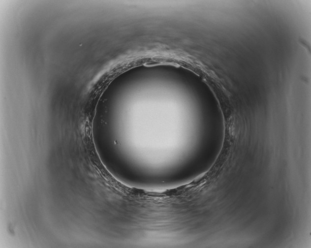 X0000101171495200807071209