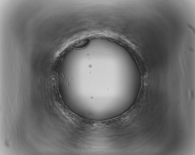 X0000101171496200807071209