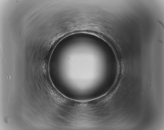 X0000101171497200807071209