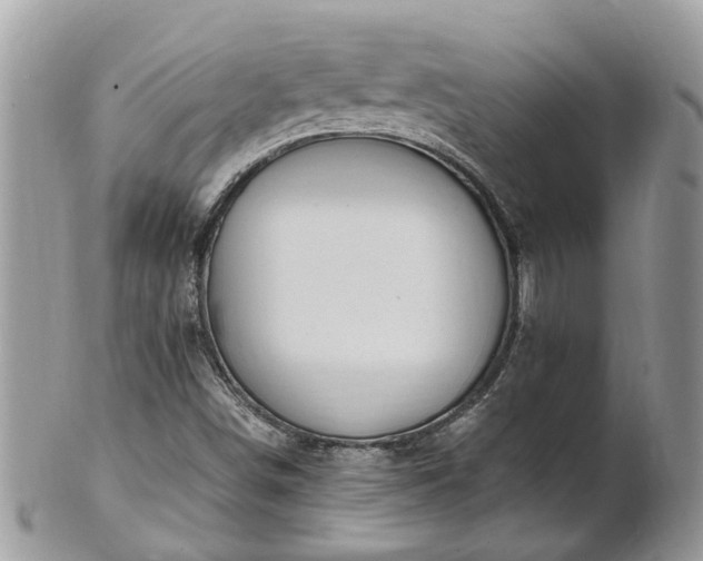 X0000101171498200807071209