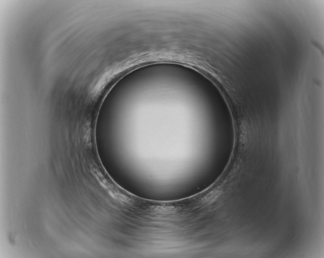 X0000101171499200807071209
