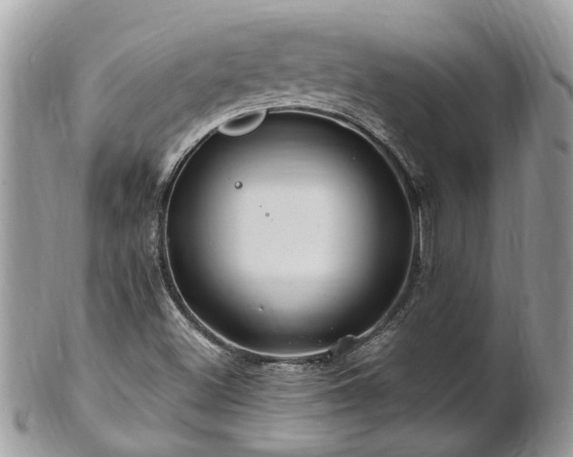 X0000101171500200807071209