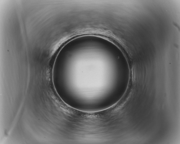 X0000101171501200807071209