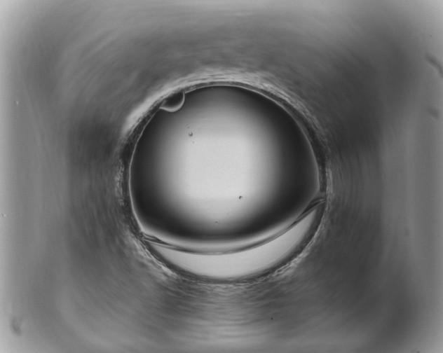 X0000101171502200807071209