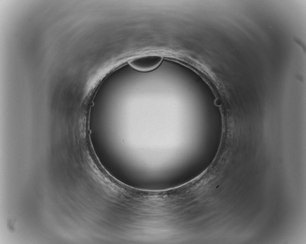 X0000101171504200807071210