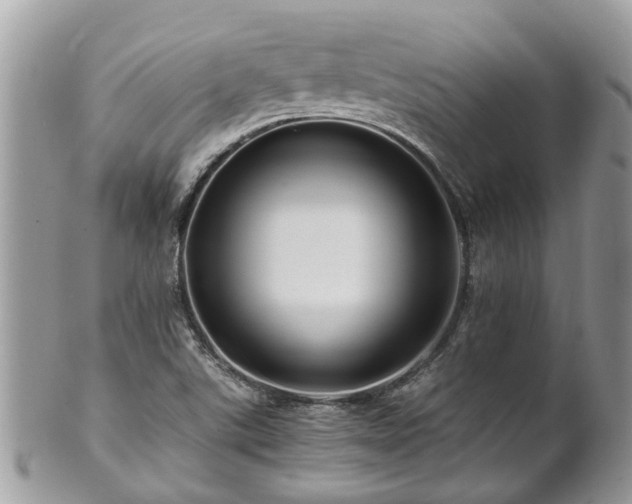 X0000101171507200807071210