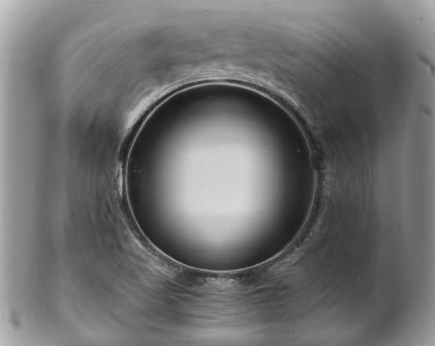 X0000101171509200807071210