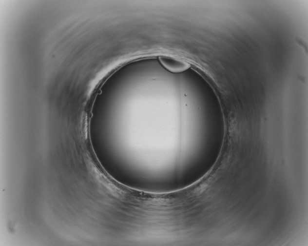 X0000101171510200807071210