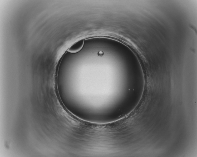 X0000101171512200807071210