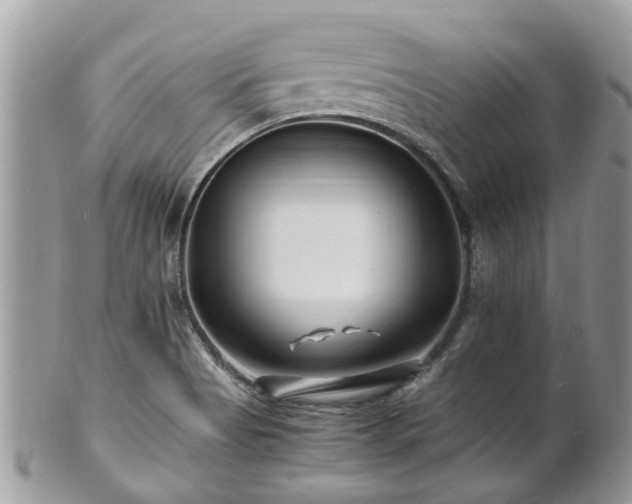 X0000101171513200807071210