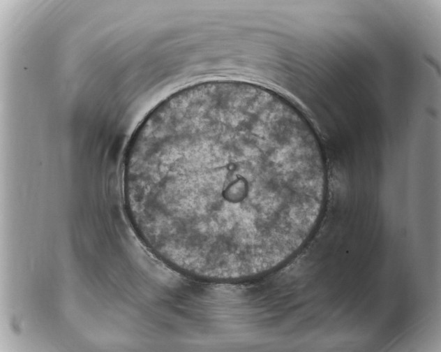 X0000101171514200807071210