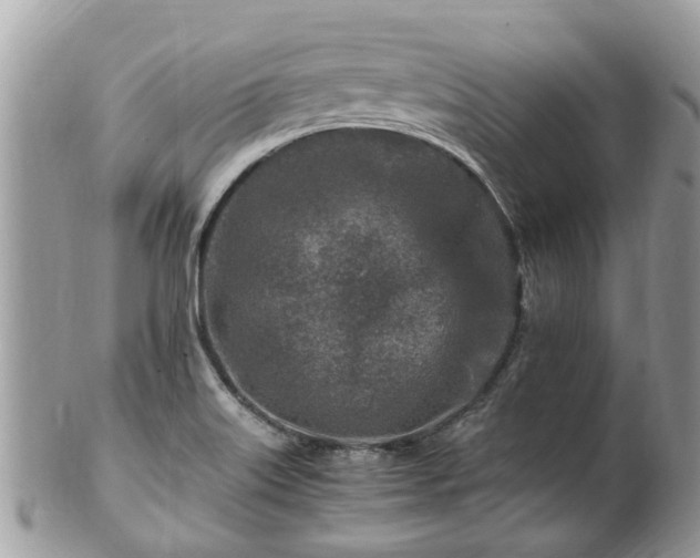 X0000101171515200807071210