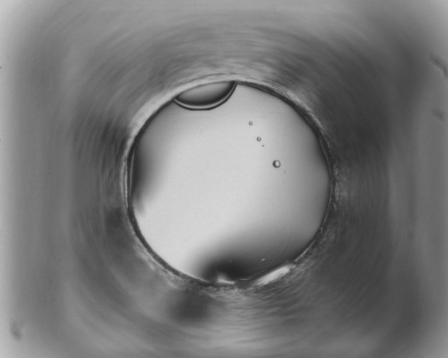 X0000101171516200807071210
