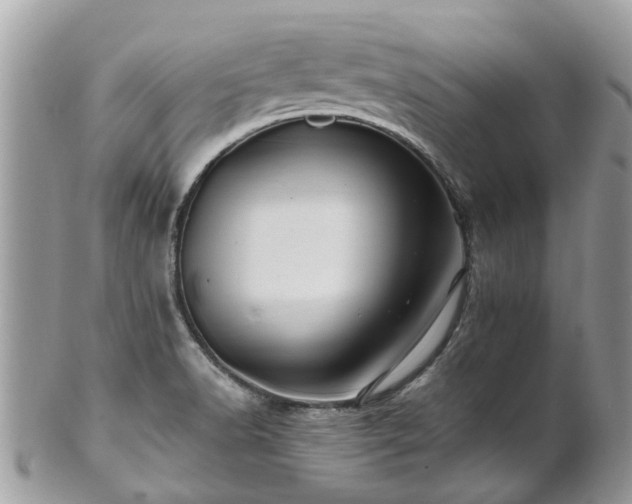 X0000101171518200807071210
