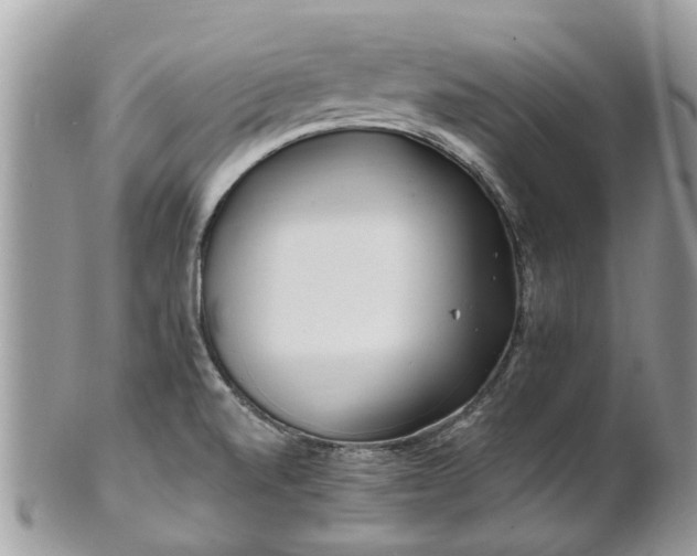 X0000101171520200807071210