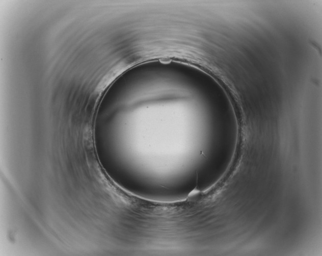 X0000101171521200807071210