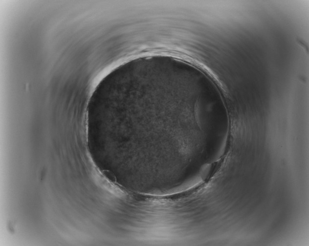 X0000101171522200807071210