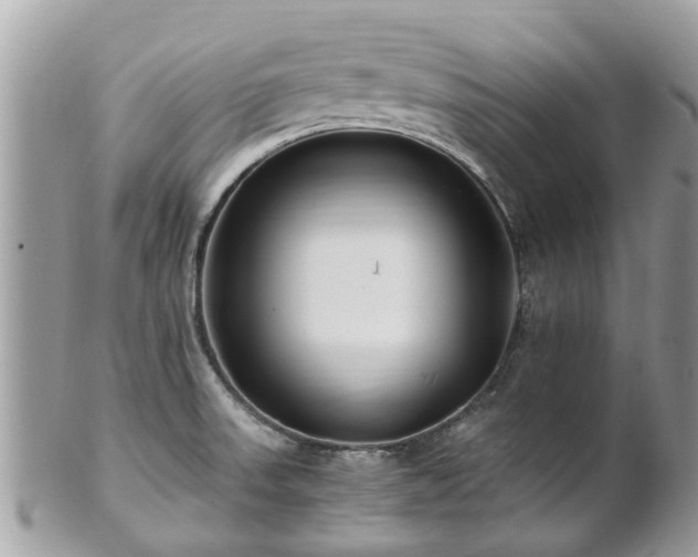 X0000101171523200807071210