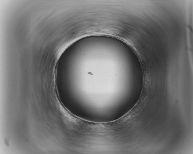 X0000101171524200807071210