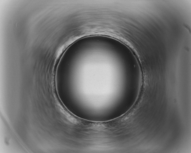 X0000101171525200807071210