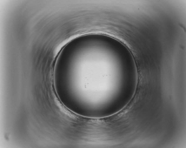 X0000101171526200807071210
