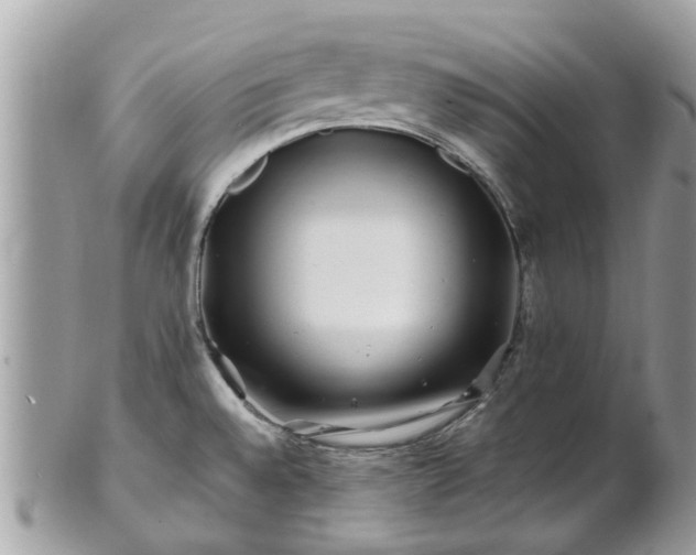 X0000101171528200807071210