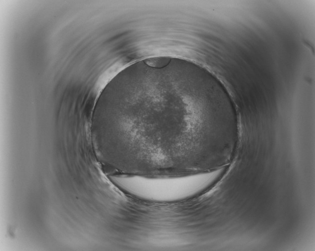 X0000101171529200807071210
