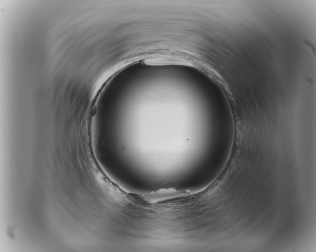 X0000101171530200807071210