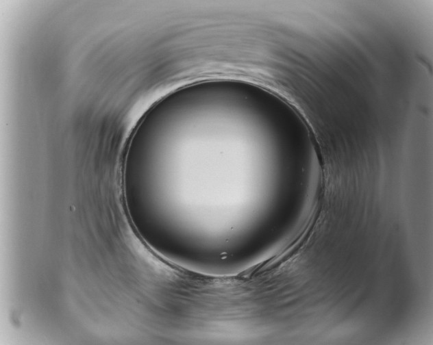 X0000101171531200807071210