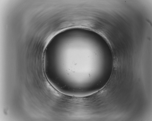 X0000101171532200807071210